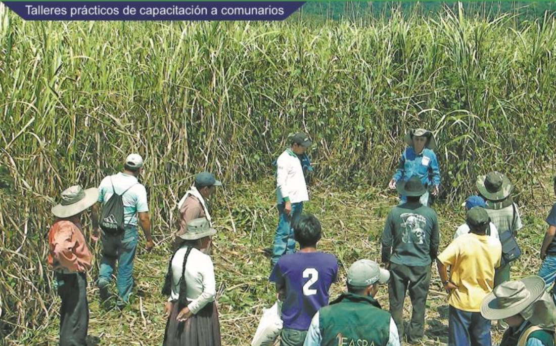 talleres prácticos de capacitación comunarios